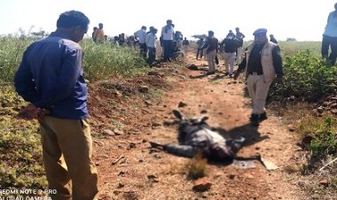 BIG BREAKING: भीलखेड़ी गांव में मगरे पर मिली अज्ञात व्यक्ति की लाश, हाथ पर गुदा ये नाम !... SDOP पंवार और नारायणगढ़ पुलिस मौके पर, पढ़े नरेन्द्र राठौर की खबर