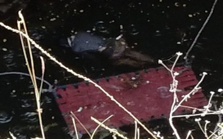 BIG BREAKING: तलाव पिपलिया गांव के कुएं में तैरती दिखी अज्ञात लाश, सनसनी के बाद सूचना पहुंची नारायणगढ़ पुलिस तक, फिर खाकी ने की जांच, तो हुई मृतक की पहचान, पढ़े नरेन्द्र राठोर की खबर