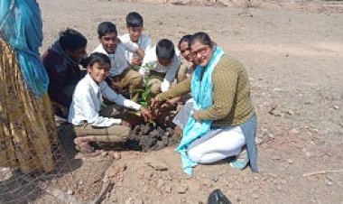 NEWS: अंकुर अभियान के तहत हाई स्कूल हरवार में हुआ वृक्षारोपण लिया संकल्प, पढ़े खबर...........