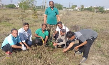 NEWS: मुक्तिधाम कनावटी पर फैली हरियाली, पर्यावरण मित्र मंडल की मेहनत रंग लाई, पढ़े खबर