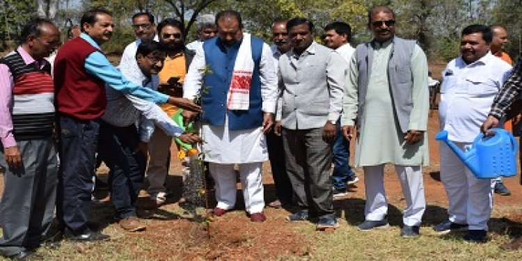 NEWS: विधायक ने किया हिंगोरिया फील्टर प्लांट पर पौधारोपण, बोले- वृक्ष जीवन भर देते है हमारा साथ, पढ़े खबर