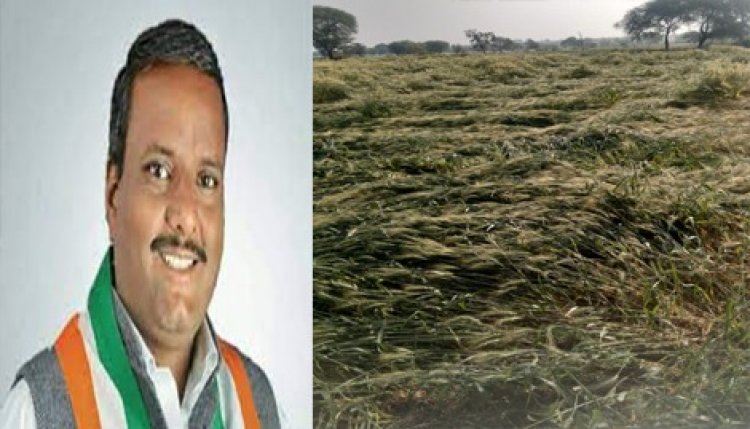NEWS: नीमच जिले में तेज बारिश के साथ ओलावृष्टि, अफीम सहित तबाह हुई सभी फसले, सत्यनारायण पाटीदार बोले- शासन तत्काल दें मुआवजा, पढ़े खबर