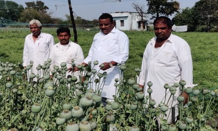 BIG NEWS: पूर्व जनपद अध्यक्ष सत्यनारायण पाटीदार पहुंचे गांव-गांव, ओलावृष्टि से खराब हुई फसलों का किया निरिक्षण, जिला कलेक्टर को लिखा पत्र, तो सांसद गुप्ता से की ये बड़ी मांग, पढ़े खबर