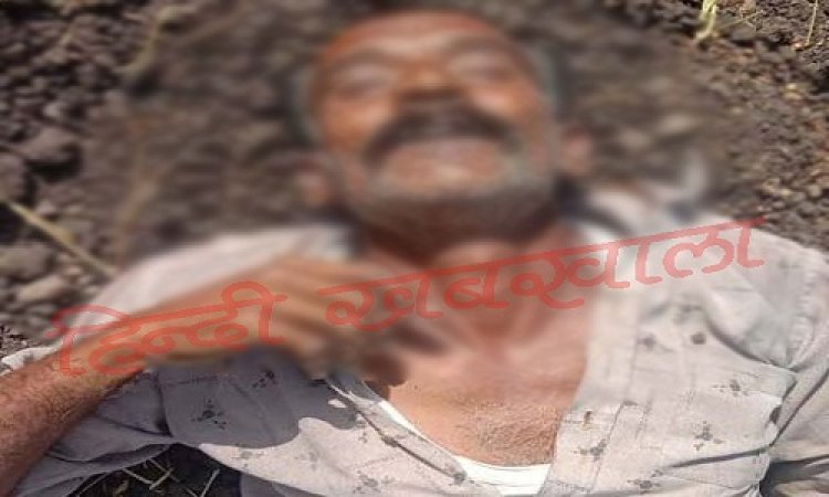 BIG BREAKING: अज्ञात कारणों के चलते गटका जहरीला पदार्थ, चपलाना गांव में खेत के बीच मोहन ने किया सुसाइड, मनासा पुलिस मौके पर, पढ़े ये खबर
