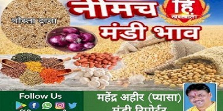 NEEMUCH MANDI : नीमच मंडी में पोस्ता 2000 एवं इसबगोल 1000 रूपए तेज, आज किस जींस के भाव में आई गिरावट, और किसके भाव रहे तेज, देखें महेन्द्र अहीर (प्यासा) की इस मंडी रिपोर्ट में