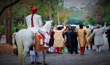 OMG ! गांव में बिंदौलियों का आमना-सामना, आवाज कम करने की बात पर भिड़े DJ वाले, एक ने जड़ा दूसरे को थप्पड़, फिर क्या दूल्हा क्या बाराती !... जमकर चले लात-घूसे और पत्थर, मामला नाहरगढ़ क्षेत्र का, पढ़े खबर