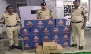 BIG NEWS: घर के बाड़े को बनाया अवैध अड्डा, सूचना पर मंदसौर पुलिस की कार्यवाही, बड़ी मात्रा में अवैध शराब जब्त, मौके से एक गिरफ्तार, अब इसकी तलाश, पढ़े खबर