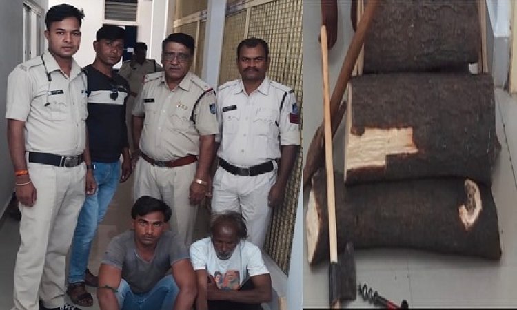 OMG ! ट्रैंडिंग में पुष्पा, राजस्थान से ग्राम बरकटी में दस्तक, फिर काटा पेड़, FIR हुई, तो हरकत में आई जीरन पुलिस, हजारों रूपए का चंदन बरामद, कई उपकरण भी जब्त, पढ़े खबर