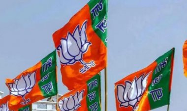 MANDSOUR BREAKING: नगरीय निकाय चुनाव, मंदसौर से बड़ी खबर, BJP ने जारी की नगर पालिका परिषद की लिस्ट, इन्हें मिला दावेदारी का मौका, शहर के किस वार्ड से कौन, पढ़े खबर और देखें सूची