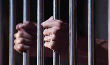 BIG NEWS: नीमच के मूलचंद मार्ग पर गाय के साथ अप्रकृतिक संभोग, पुलिस की जांच के बाद न्यायालय ने सुनाया फैसला, अब आरोपी नागेन्द्र सालों तक रहेगा सलाखों के पीछे, जुर्माने से भी दिया दंडित, पढ़े खबर