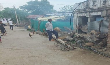 OMG ! ग्राम सिरखेड़ा में जमीन पर रेंग रहीं मौत, रहवासियों में पनपा भय, जनपद सदस्य प्रतिनिध ने दिखाई गंभीरता, अब जिला कलेक्टर तक पहुंची शिकायत, तो इन अधिकारीयों को भी व्हाट्सएप्प मैसेज...! पढ़े ये खबर