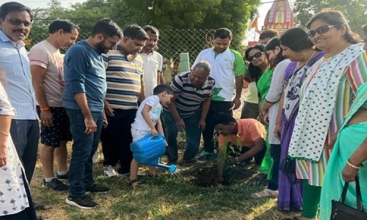 NEWS: विश्व पर्यावरण दिवस पर NSSG ग्रुप ने किया वृक्षारोपण, पर्यावरण सुरक्षा की शपथ लेकर काटा केक, पढ़े खबर