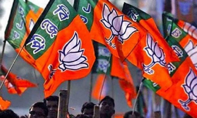 BIG BREAKING: नगरीय निकाय चुनाव, BJP ने जारी की नगर परिषद सिंगोली की लिस्ट, इन्हें मिला दावेदारी का मौका, किस वार्ड से कौन, पढ़े खबर और देखें सूची