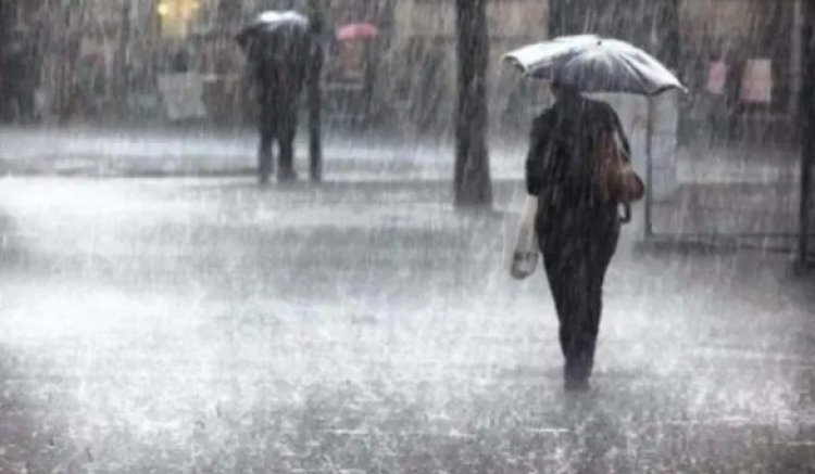 WEATHER UPDATE : MP में यहां मानसून की दस्तक, नीमच सहित इन जिलों में भारी बारिश-बिजली का अलर्ट, क्या है अन्य शहरों का हाल...! पढ़े इस खबर में