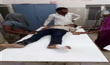 OMG ! नदी में नहाते बालक, मगरमच्छ ने पकड़ा लक्की को, तो छूटा चंगुल से, फिर गोलू को मुहं में जकड़ा, और घूमता रहा पानी में, चंबल नदी में मौत का भयावाह मंजर, पढ़ेंगे तो खड़े हो जाएंगे रौंगटे