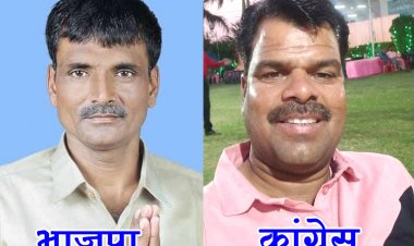ELECTION NEWS: पिपलियामंडी नगर परिषद चुनाव, वार्ड-12 में घमासान, प्रत्याशी तो कई, पर मुकाबला इनके बीच, कौन मार सकता है बाजी, पढ़े नरेंद्र राठौर की ये खबर