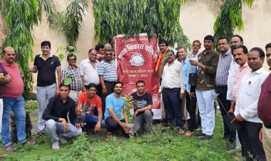 NEWS: भारत विकास परिषद ने मनाया स्थापना दिवस, किया पौधारोपण, वृक्षों और योग की एहमियत पर डाला प्रकाश, तो इन पर्यावरण प्रेमियों का किया सम्मान, पढ़े खबर