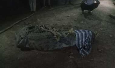 OMG ! नदी से निकलकर गांव में घुसा मगरमच्छ, नजर पड़ते ही दहशत में आये ग्रामीण, फिर वन विभाग को सूचना, और टीम पहुंची मौके पर, रेस्क्यू कर पकड़ा, पढ़े ये खबर