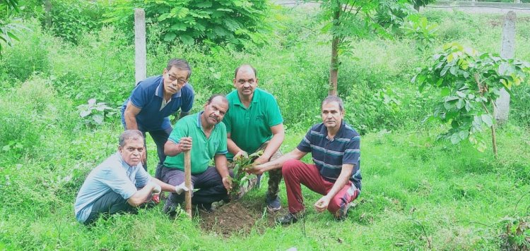 NEWS: पर्यावरण मित्र संस्था का साप्ताहिक अभियान, प्रकृति वंदन कार्यक्रम, ग्रीन बेल्ट में चलाया सफाई अभियान, पढ़े खबर