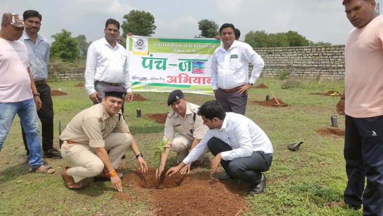 NEWS: पंच-ज अभियान, जिला जेल कनावटी में हुआ वृक्षारोपण, प्रधान जिला न्यायाधीश सहित ये रहे उपस्थित, पढ़े खबर