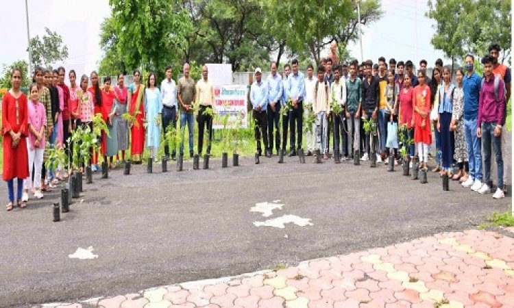 NEWS: ग्रेसिम संस्था ने महाविद्यालय में किया पौधरोपण, छात्रों ने भी किया सहयोग, पढ़े बबलू यादव की खबर