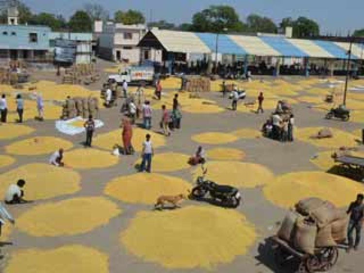 NEWS: गुरूवार को नीमच मंडी रहेगी बंद, व्यापारी संघ का फैसला, किसानों से किया ये आग्रह, पढ़े खबर