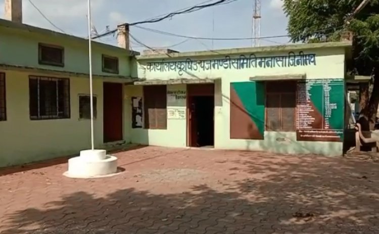 BIG NEWS: मनासा मंडी में उपज लेकर पहुंचा किसान, रात को सोया चैन की नींद, सुबह होते ही उड़े होश, अब थाने पहुंची शिकायत, क्या है मामला...! पढ़े खबर
