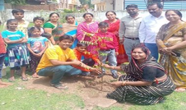 NEWS: ग्वालटोली के स्कूली बच्चों ने पौधारोपण कर मनाया हरियाली महोत्सव, तो प्रभारी प्राचार्य ने बताई ये उपयोगिता, पढ़े खबर