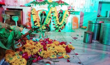 NEWS: नागपंचमी पर्व आस्था और विश्वास का प्रतीक, ग्राम भाटखेड़ी के इस मंदिर में होती है सभी मनोकामना पूर्ण, कैसे हुई स्थापना, पढ़े खबर