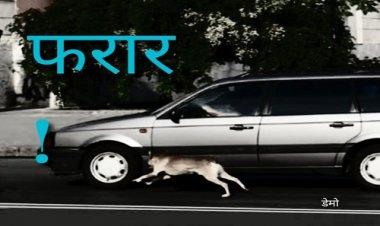 OMG ! MP से युवती अगवा, भागने के बाद खाकी ने घेरा, लौटते समय हाईवे पर रुके, तो दौड़ा आरोपी का शातिराना दिमाग, कार और वॉकी-टॉकी सहित फरार, एक DOG बन गया GOOD LUCK...! पढ़े राजू नागदा ''दास्सा'' की ये खबर 