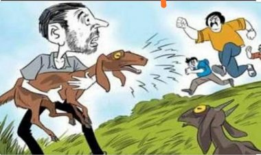 BIG NEWS: रात के अंधेरे में चोरों की दस्तक, घर में हुए दाखिल, फिर दिया इस वारदात को अंजाम, पीडि़त की शिकायत पर मनासा पुलिस ने की जांच शुरू, पढ़े खबर