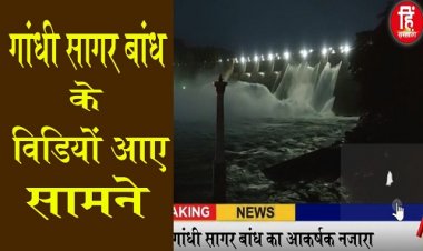 WOW ! गांधी सागर बांध की लेटेस्ट तस्वीरें आई सामने, कितने गेट खुले, और कैसा है यहां का नजारा, कैमरे में कैद हुआ आकर्षक वीडियों, क्लिक करें और देखें