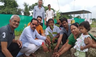 NEWS: अंकुर अभियान, सिंगोली में विभिन्न क्षेत्रों में हुआ पौधारोपण, जनप्रतिनिधि और गणमान्य नागरिक भी रहें मौजूद, पढ़े खबर