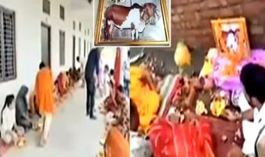 NEWS: वृद्ध और बीमार होने पर कराया इलाज, पर हो गई गौरी की मौत, विधि-विधान से किया दफन, 1 हजार से ज्यादा लोगों का भोजन भी, मामला- भादवामाता का, पढ़े खबर