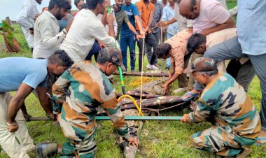 BIG NEWS : नदी नाले डेम लबालब, नारायणगढ़ क्षेत्र में दिखा विशालकाय मगरमच्छ,ग्रामीणों में दहशत,पहुंची रेस्क्यू टीम,फिर कड़ी मशक्कत,ओर ऐसे लगा ये हाथ,पढ़े ये खबर