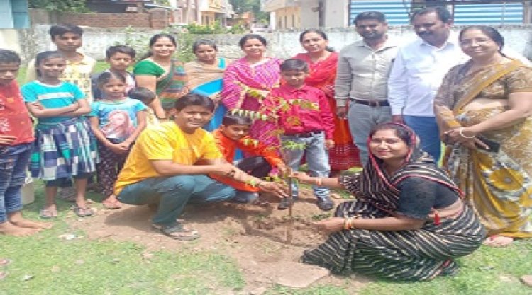 NEWS: ग्वालटोली के स्कूली बच्चों ने पौधारोपण कर मनाया हरियाली महोत्सव, तो प्रभारी प्राचार्य ने बताई ये उपयोगिता, पढ़े खबर