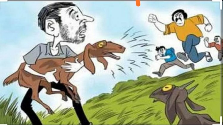 BIG NEWS: रात के अंधेरे में चोरों की दस्तक, घर में हुए दाखिल, फिर दिया इस वारदात को अंजाम, पीडि़त की शिकायत पर मनासा पुलिस ने की जांच शुरू, पढ़े खबर