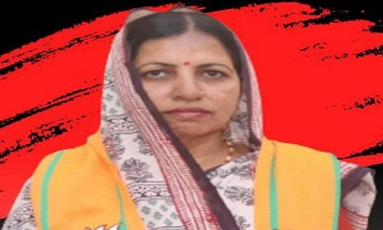 ELECTION BREAKING: नीमच नगर पालिका चुनाव, भापजा से उपाध्यक्ष पद पर रंजना करण परमाल अधिकृत प्रत्याशी, जाने वोटिंग से जुड़ा अपडेट, पढ़े खबर