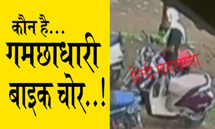 BIG NEWS: नीमच में बेखौफ बदमाश, पहले की छेड़छाड़, फिर लगाई किक, और बाइक लेकर हुए रफूचक्कर, CCTV में कैद हुआ गमछाधारी युवक...! लायंस पार्क के पास, दिन-दहाड़े वारदात, पढ़े खबर और देखें वीडियों