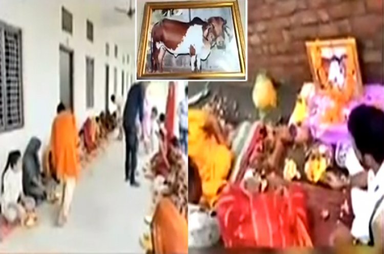 NEWS: वृद्ध और बीमार होने पर कराया इलाज, पर हो गई गौरी की मौत, विधि-विधान से किया दफन, 1 हजार से ज्यादा लोगों का भोजन भी, मामला- भादवामाता का, पढ़े खबर
