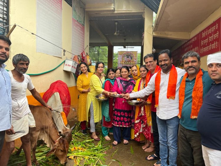 NEWS: बछ बारस आज,राष्ट्रीय गौ सेवा संघ के लोग पहुंचे गौशाला,गौ माता को यु किया नमन,पढ़ें खबर