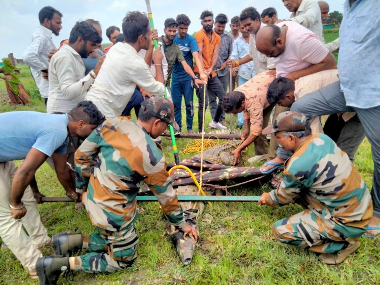 BIG NEWS : नदी नाले डेम लबालब, नारायणगढ़ क्षेत्र में दिखा विशालकाय मगरमच्छ,ग्रामीणों में दहशत,पहुंची रेस्क्यू टीम,फिर कड़ी मशक्कत,ओर ऐसे लगा ये हाथ,पढ़े ये खबर