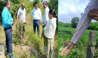 NEWS: आंध्र प्रदेश आयुष विभाग कमिश्नर पहुंचे इस गांव में, वाटिका का किया निरीक्षण, नीमच के अधिकारी भी रहें मौजूद, पढ़े खबर