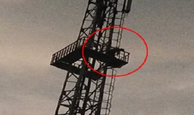 BIG BREAKING: जीरन से बड़ी खबर, रस्सी लेकर टावर पर चढ़ा युवक, पहले लोगों की भीड़, फिर पुलिस भी पहुंची मौके पर, समझाइश का दौर जारी, क्या है कारण...! पढ़े ये खबर