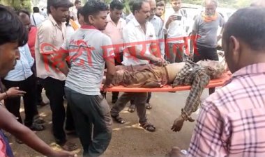 BIG BREAKING: कलेक्टोरेट चैराहे पर फिर हादसा, बुजुर्ग को अज्ञात वाहन ने लिया चपेट में, गंभीर हालत में पहुंचाया जिला अस्पताल, पढ़े खबर