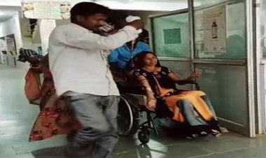 OMG ! चारा काट रहीं महिला, अचानक इसने किया वार, तो घायल हुई रेखा, फिर मनासा से जिला अस्पताल रैफर, क्या है मामला...! पढ़े मनीष जोलान्या की खबर