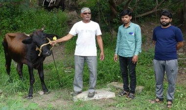 OMG ! मल्हारगढ़ तहसील के इस गांव में लम्पी वायरस की एंट्री, गाय में दिखे लक्षण, परेशान किसान ने इनसे साधा संपर्क, क्या शुरू हुआ उपचार...! पढ़े नरेंद्र राठौर की खबर