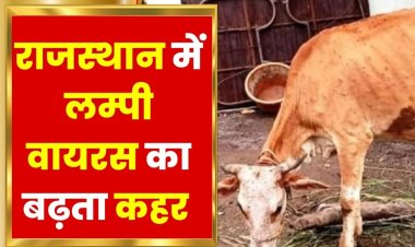 BIG REPORT: राजस्थान में लंपी बरपा रहा कहर, अब तक 50 हजार से अधिक गायों की मौत, जाने क्या है वायरस का सच, और क्या हो सकती है महामारी घोषित...! पढ़े ये खबर