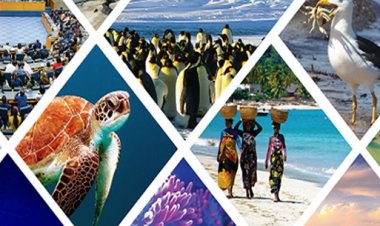 BIG REPORT : ना कोई संगठन-ना कोई दल, फिर भी सोशल मीडिया पर राजस्थान बंद का संदेश, कौन कर रहा आव्हान, और क्या है वायरल पोस्टर्स का सच...! पढ़े ये खबर