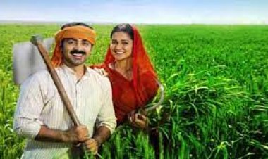 News: किसानों के लिए अच्छी खबर, सभी जिलों में लागू होगा ये पायलट प्रोजेक्ट! ऐसे मिलेगा लाभ, पढ़े ये खबर